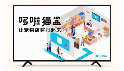 哆啦貓盒 寵物店電視可以像廣告機(jī)一樣發(fā)布廣告嗎